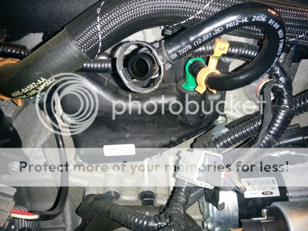 Stage 3, Blown Turbo Seal, now what?? Page 2 Ford Focus ST Forum